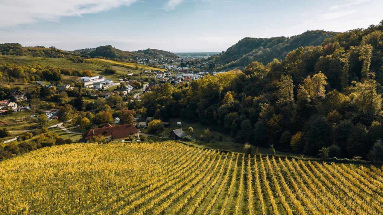 Luxury Vineyard Resort Chateau Ramsak Marburg Exterior foto